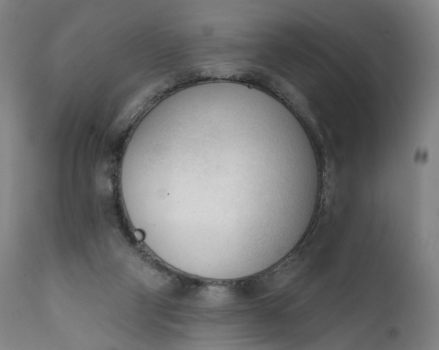 X0000111610114200907311148