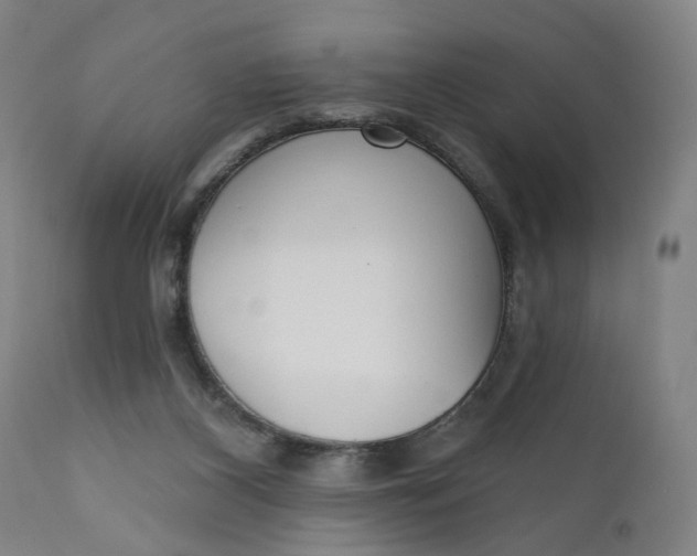 X0000111610116200907311148