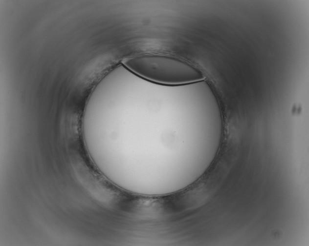 X0000111610117200907311148