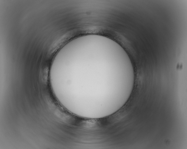 X0000111610118200907311148