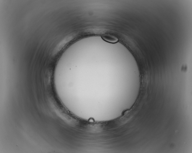 X0000111610120200907311148