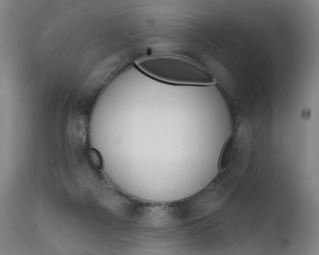 X0000111610121200907311148