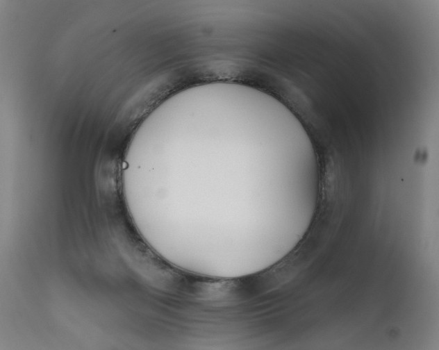 X0000111610122200907311148