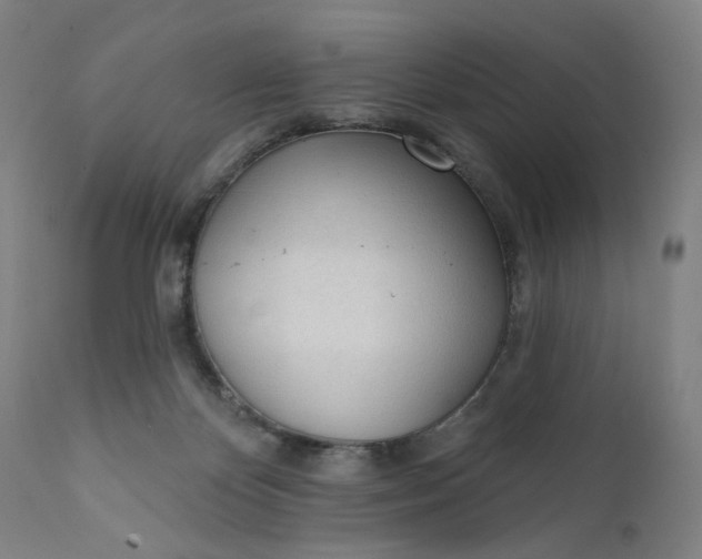 X0000111610124200907311148