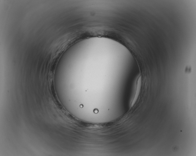 X0000111610125200907311148