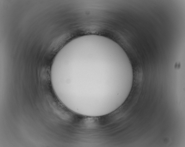 X0000111610126200907311148