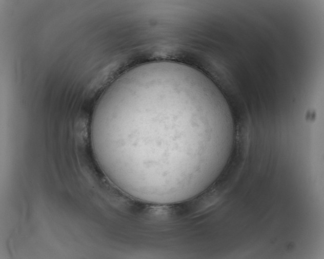 X0000111610127200907311148