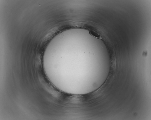 X0000111610128200907311148