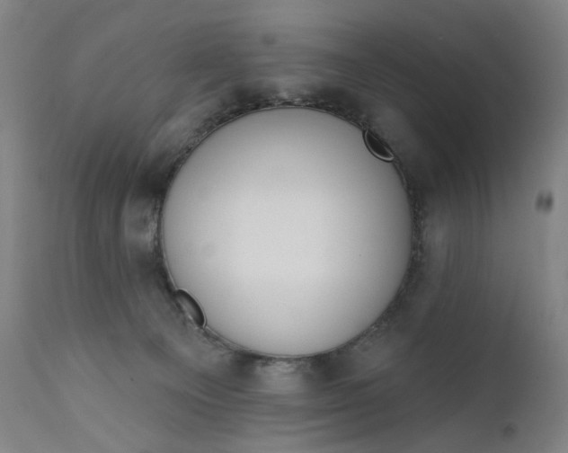 X0000111610129200907311148