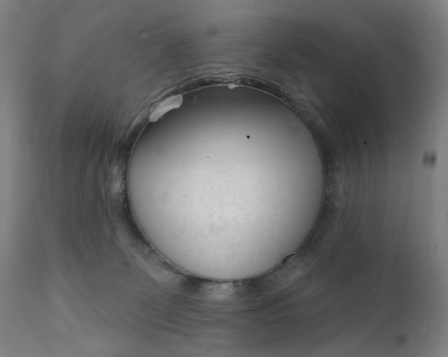 X0000111610131200907311148