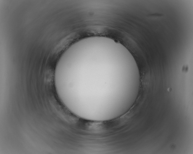 X0000111610132200907311148