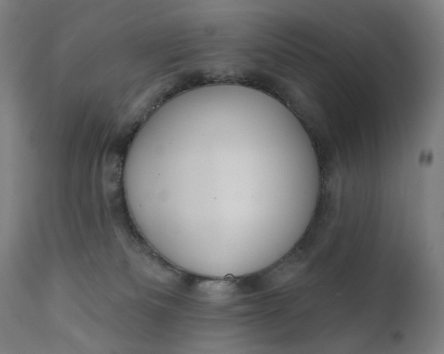 X0000111610133200907311148