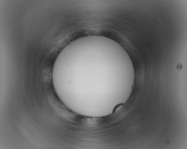 X0000111610134200907311148