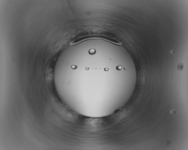 X0000111610135200907311148