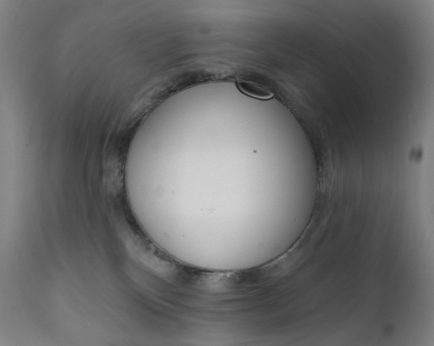 X0000111610136200907311148