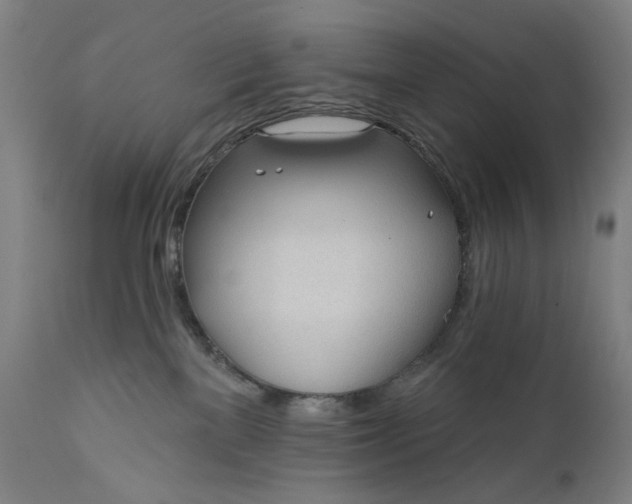 X0000111610137200907311148