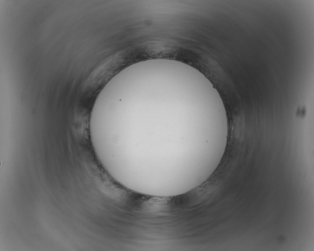 X0000111610138200907311148