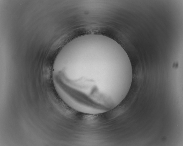 X0000111610139200907311148