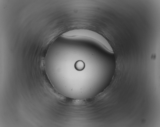 X0000111610141200907311148