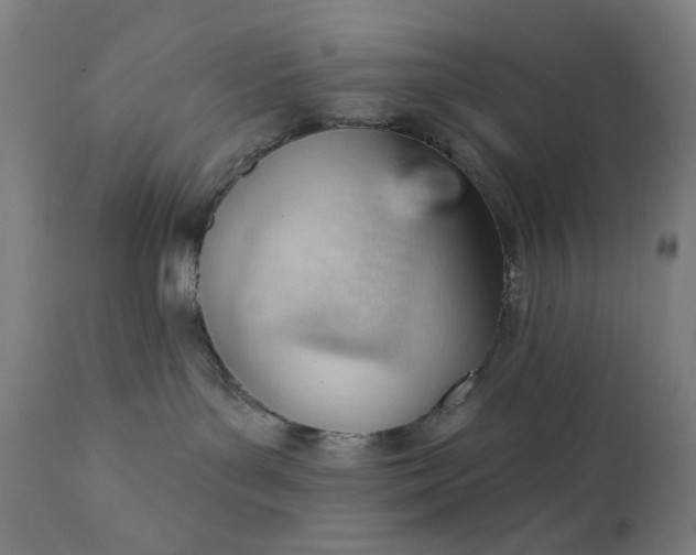 X0000111610143200907311148