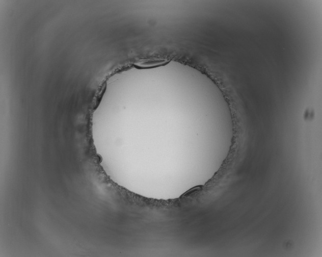 X0000111610144200907311148