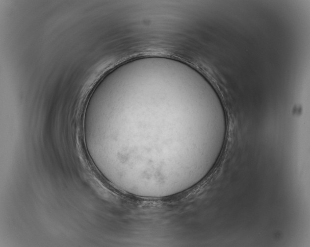 X0000111610145200907311147