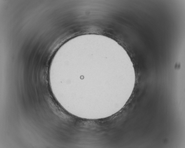 X0000111610146200907311147