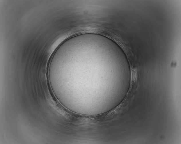 X0000111610147200907311147