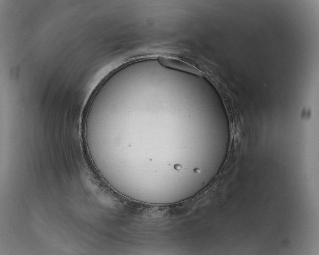 X0000111610148200907311147