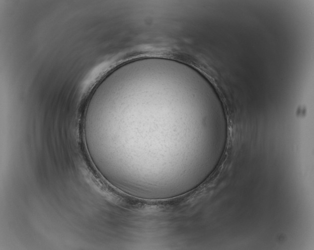 X0000111610149200907311147