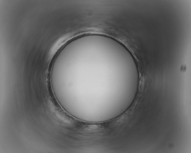 X0000111610151200907311147