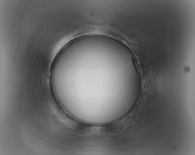 X0000111610152200907311147