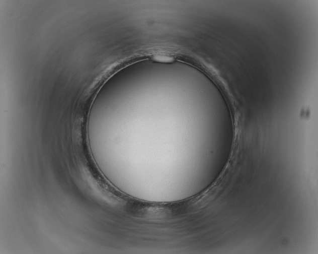 X0000111610154200907311147