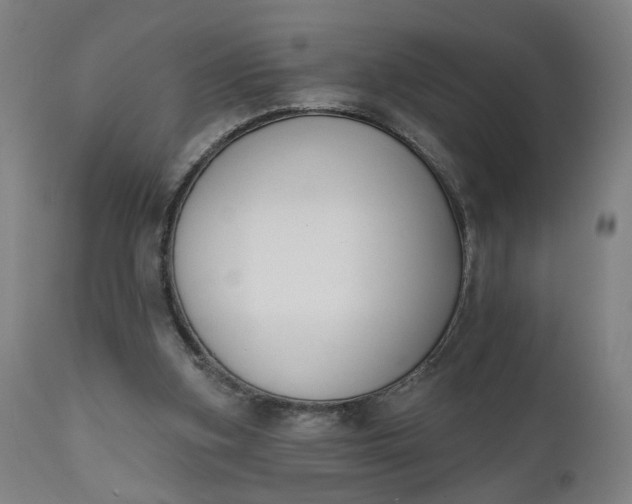 X0000111610155200907311147