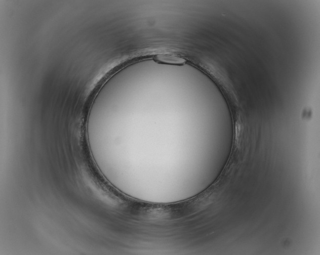 X0000111610156200907311147