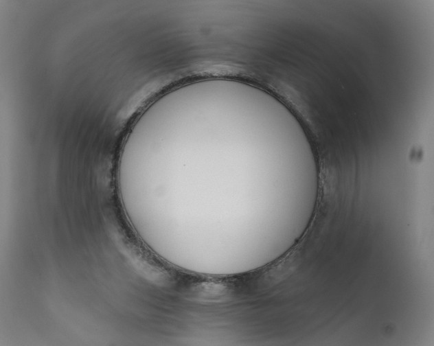 X0000111610159200907311147