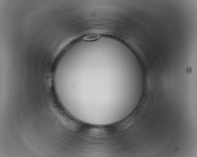 X0000111610160200907311147