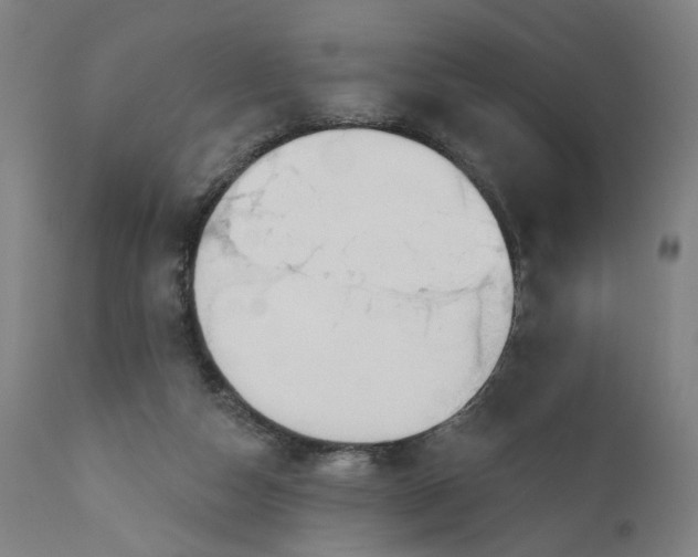 X0000111610162200907311147