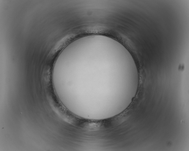 X0000111610163200907311147