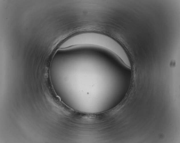 X0000111610164200907311147