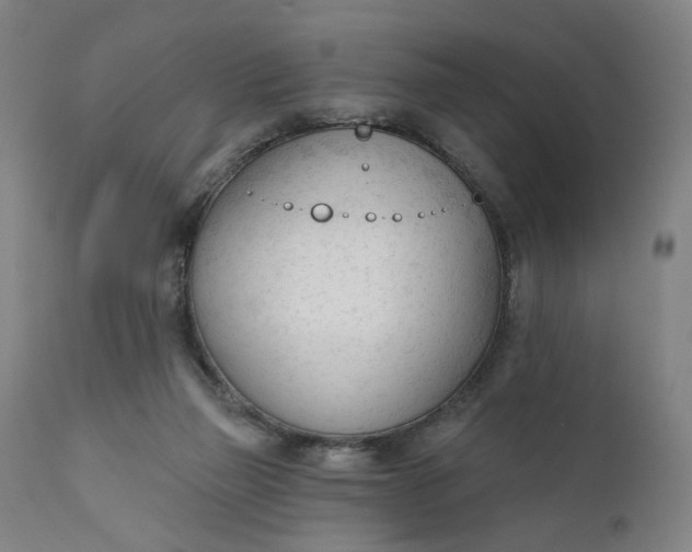 X0000111610165200907311147