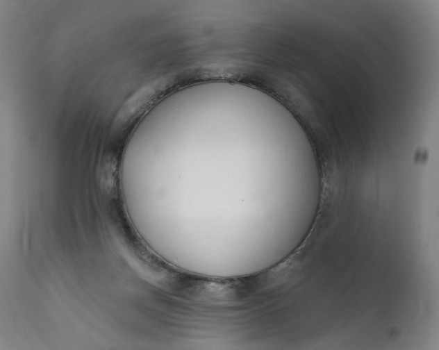 X0000111610166200907311147