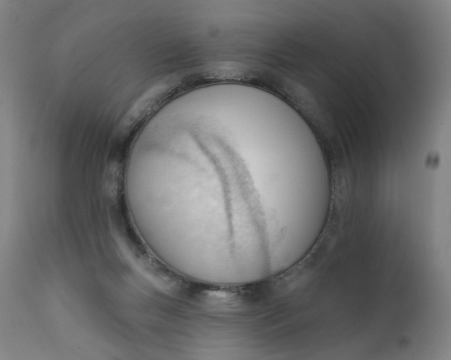 X0000111610167200907311147