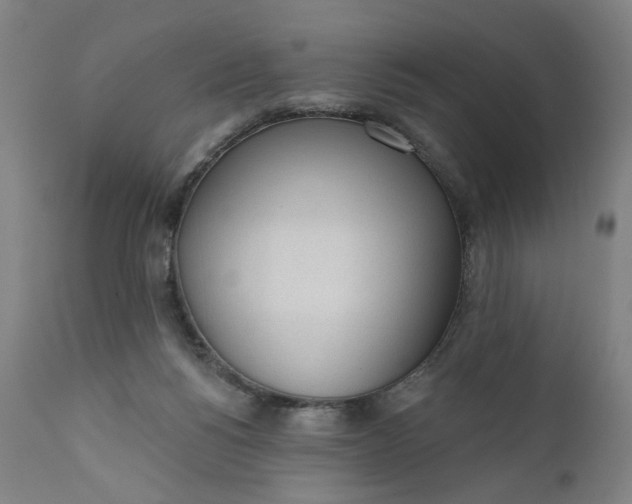 X0000111610168200907311147