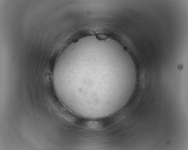 X0000111610169200907311147