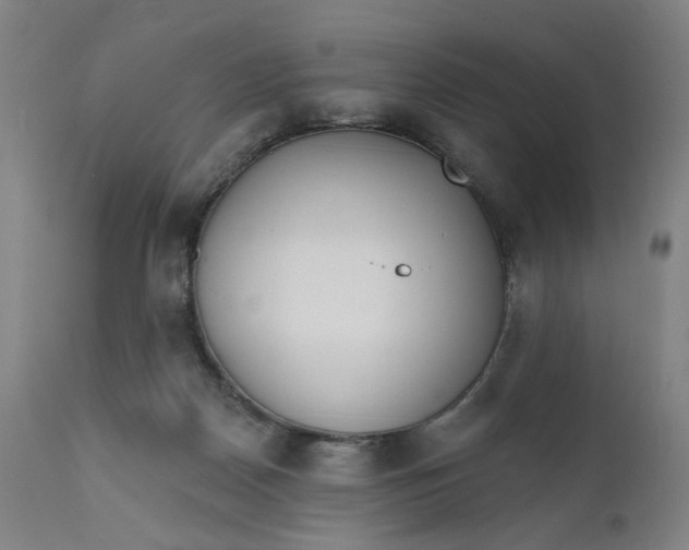 X0000111610170200907311147