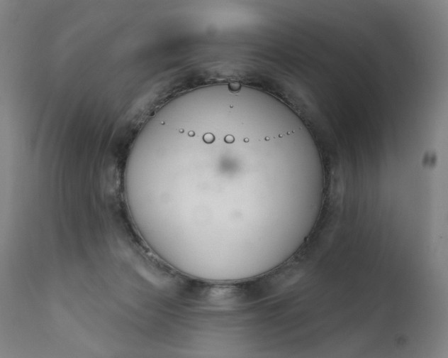 X0000111610173200907311148