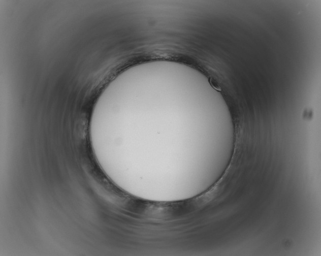 X0000111610174200907311148