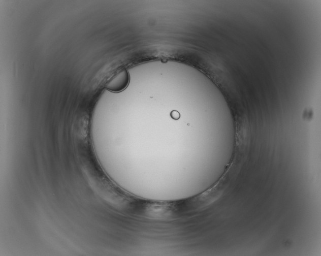 X0000111610175200907311148