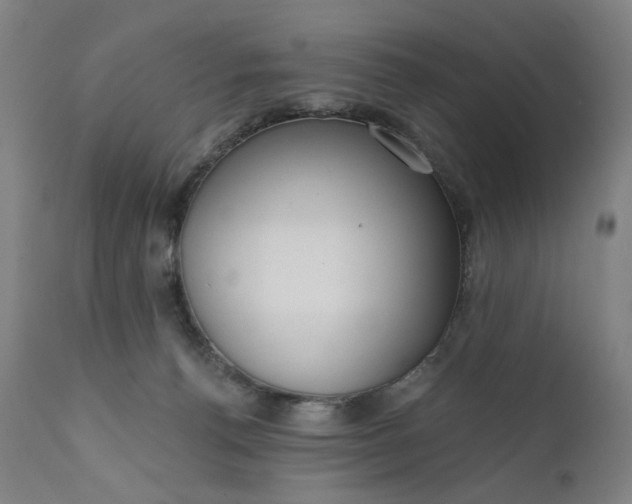 X0000111610176200907311148